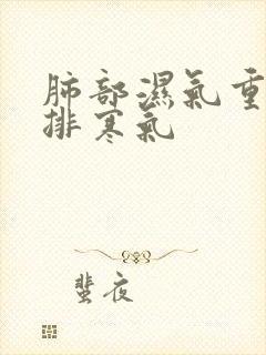 肺部湿气重怎么排寒气