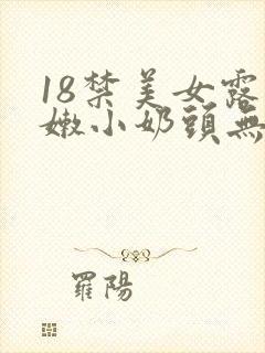 18禁美女露粉嫩小奶头无遮挡