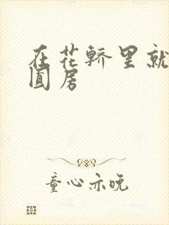 在花轿里就开始圆房封面