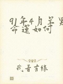 91年4月羊男命运如何封面