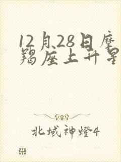 12月28日摩羯座上升星座