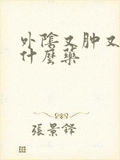 外阴又肿又疼用什么药