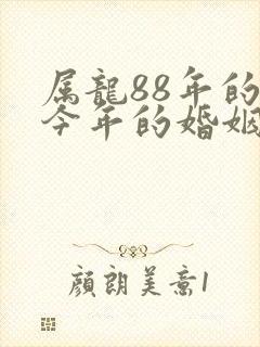 属龙88年的男今年的婚姻怎么样封面