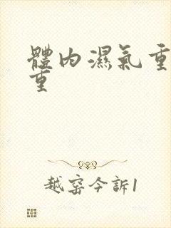 体内湿气重寒气重