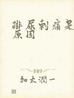 排尿刺痛是什么原因