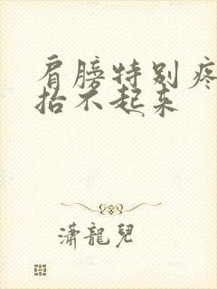 肩膀特别疼胳膊抬不起来