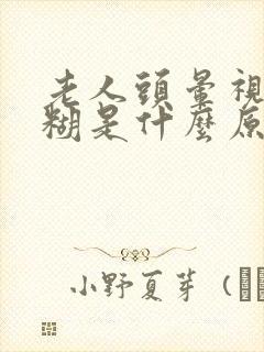 老人头晕视线模糊是什么原因封面