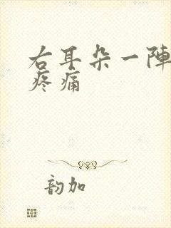 右耳朵一阵一阵疼痛