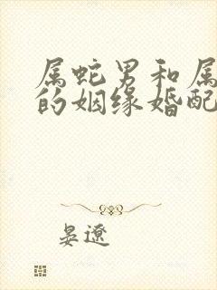 属蛇男和属牛女的姻缘婚配