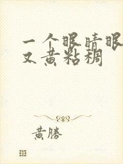 一个眼睛眼屎多又黄粘稠封面