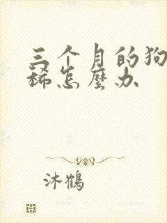 三个月的狗子拉稀怎么办