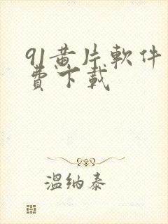 91黄片软件免费下载封面