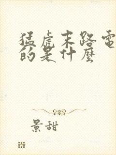 猛虎末路电影讲的是什么封面