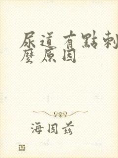 尿道有点刺痛什么原因封面