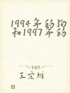 1994年的狗和1997年的牛相配吗封面