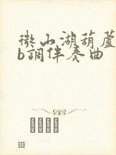 微山湖葫芦丝降b调伴奏曲