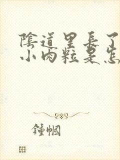 阴道里长了好多小肉粒是怎么回事