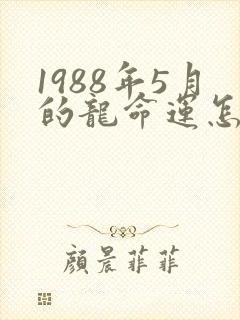 1988年5月的龙命运怎么样