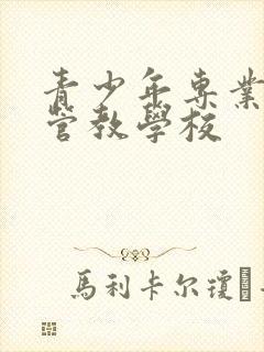 青少年专业叛逆管教学校