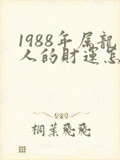 1988年属龙人的财运怎么样?