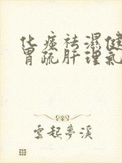 化痰祛湿健脾和胃疏肝理气