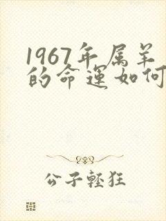 1967年属羊的命运如何