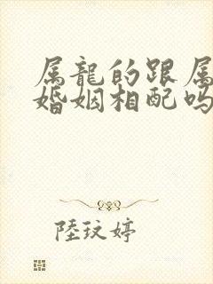 属龙的跟属蛇的婚姻相配吗