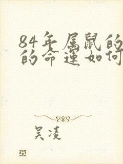 84年属鼠的人的命运如何