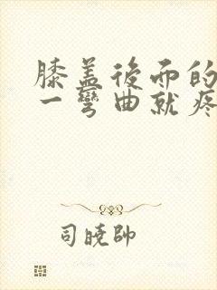 膝盖后面的腿窝一弯曲就疼封面