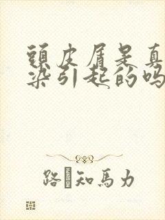 头皮屑是真菌感染引起的吗封面