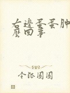 右边蛋蛋肿痛怎么回事