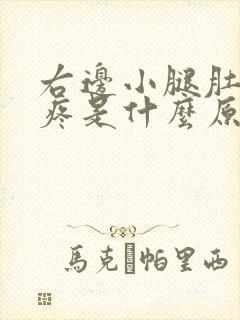 右边小腿肚抽筋疼是什么原因引起的封面