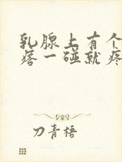 乳腺上有个硬疙瘩一碰就疼