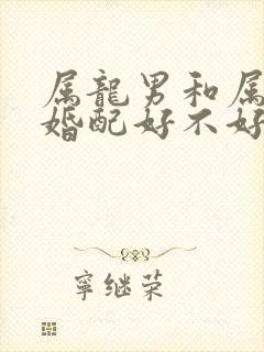 属龙男和属龙女婚配好不好