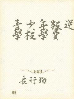 青少年叛逆特训学校学费