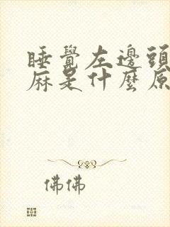 睡觉左边头部发麻是什么原因封面