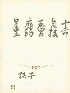 农历五月十五出生的男孩命运如何封面