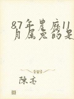 87年农历11月属兔的是什么命