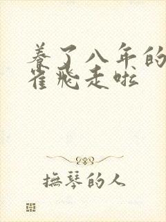 养了八年的金丝雀飞走啦