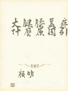 大腿膝盖疼痛是什么原因引起的封面