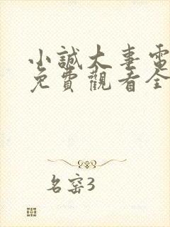 小诚大事电视剧免费观看全集