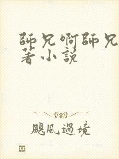 师兄啊师兄的原著小说封面