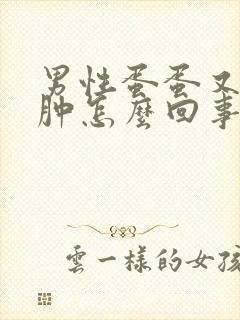 男性蛋蛋又疼又肿怎么回事