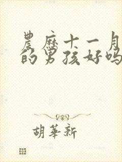 农历十一月出生的男孩好吗封面