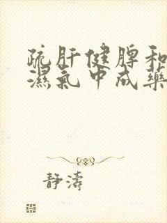 疏肝健脾和胃去湿气中成药