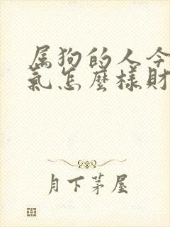 属狗的人今年运气怎么样财运呢