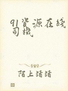 91资源在线老司机