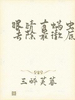 眼睛有螨虫怎么去除最彻底的方法