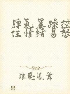 脾气暴躁控制不住情绪易怒