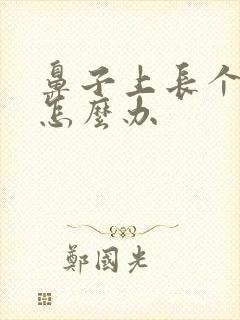 鼻子上长个痤疮怎么办